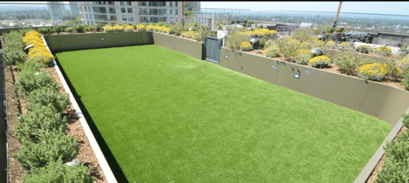 Artificial Grass project in Hayward