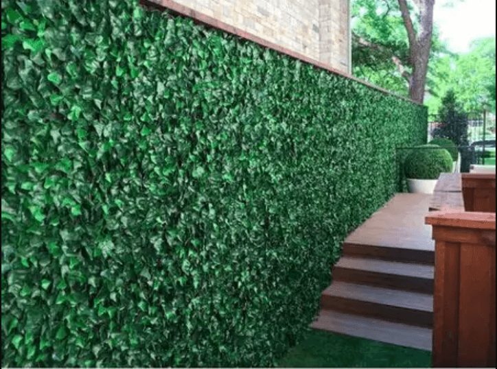 Artificial Grass project in Hayward