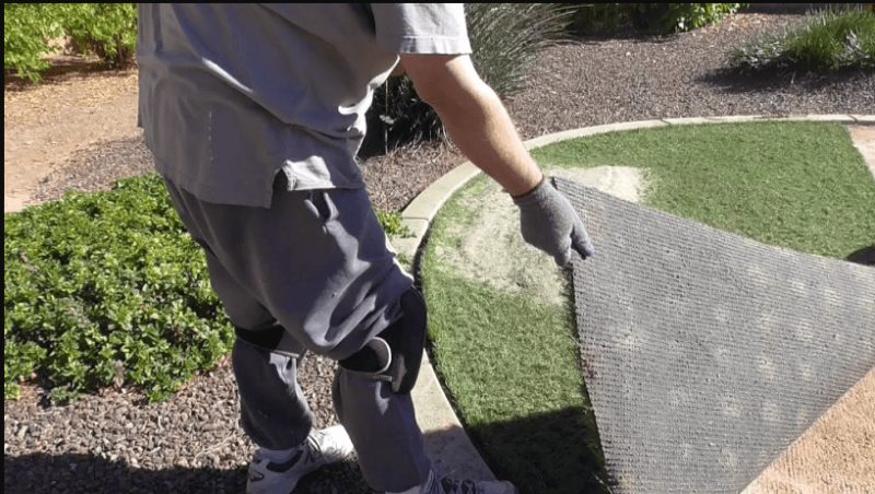 Turf Removal in Hayward